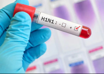 Is GMC&H ready to fight Swine Flu?