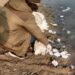 JKMSCL Stamped ‘Unused & Expired’ Drugs Dumped Into River Tawi, Authorities Clueless