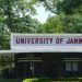 LG Office ‘Not In A Mood’ To Appoint New Vice Chancellor Of Jammu University, Incumbent ‘Enjoys’ Extension ‘Without Any Official Order’