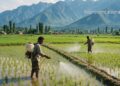 Jammu & Kashmir’s Path to a Safer Harvest: A Blueprint for Phasing Out Hazardous Chemicals
