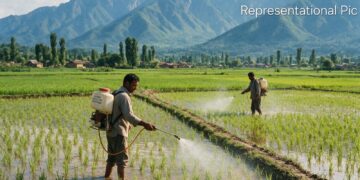 Jammu & Kashmir’s Path to a Safer Harvest: A Blueprint for Phasing Out Hazardous Chemicals