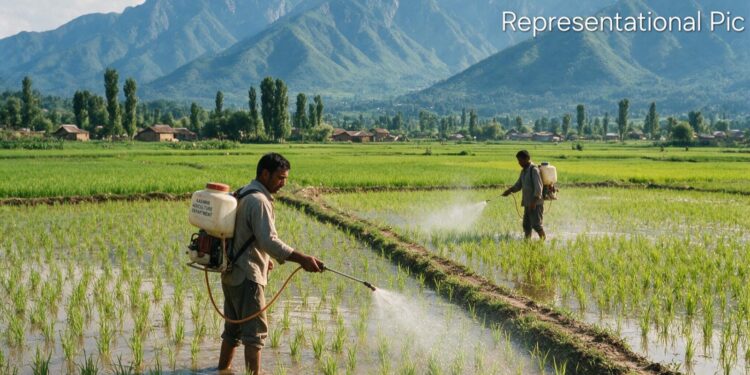 Jammu & Kashmir’s Path to a Safer Harvest: A Blueprint for Phasing Out Hazardous Chemicals
