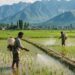 Jammu & Kashmir’s Path to a Safer Harvest: A Blueprint for Phasing Out Hazardous Chemicals